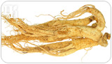 Ginseng one of the most common phytoestrogenic herbs.