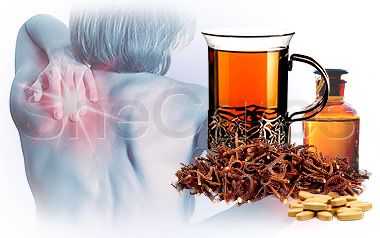 Natural Pain Relievers for Joints