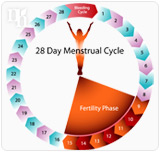 Progesterone is important to female sexual health.