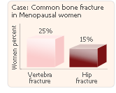 estrogen fracture bones