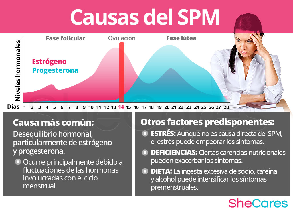 Causas del síndrome premenstrual - SPM