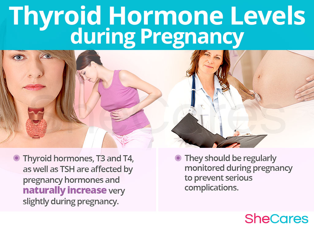 Thyroid Hormone Levels during Pregnancy