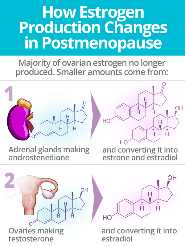 How Estrogen Production Changes in Postmenopause