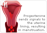 5 Warning Signs of High Progesterone Levels-1