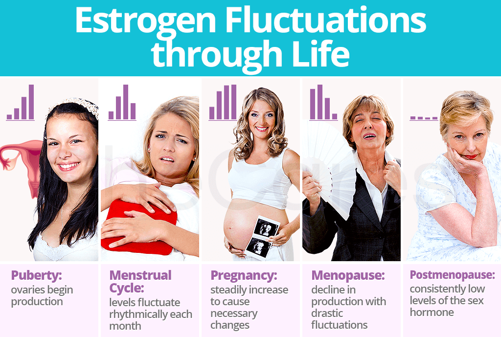 Estrogen Fluctuations through Life