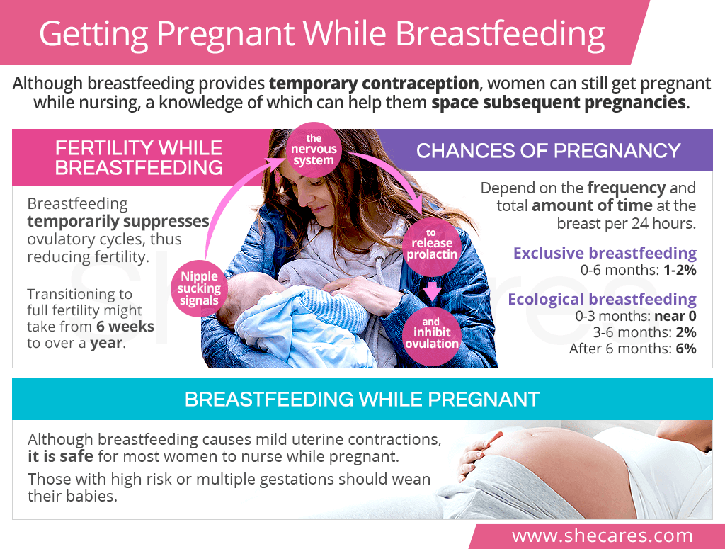 Getting pregnant while breastfeeding