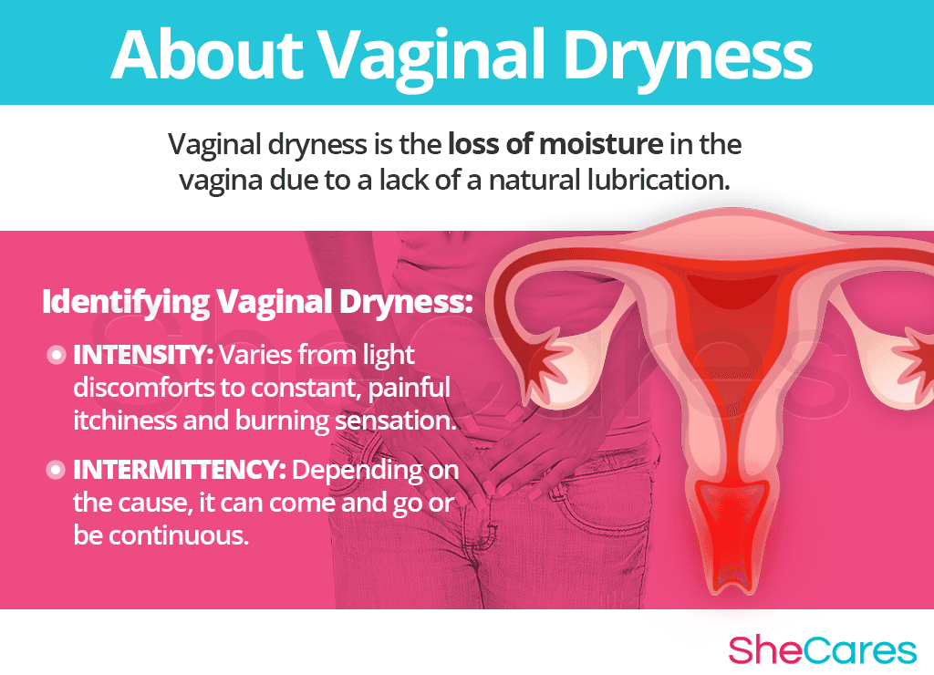 Period during vaginal dryness Perimenopause: Rocky