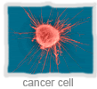 breast cancer stages