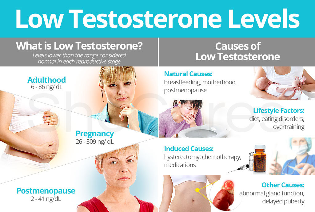 Low Testosterone Levels – About And Causes Shecares