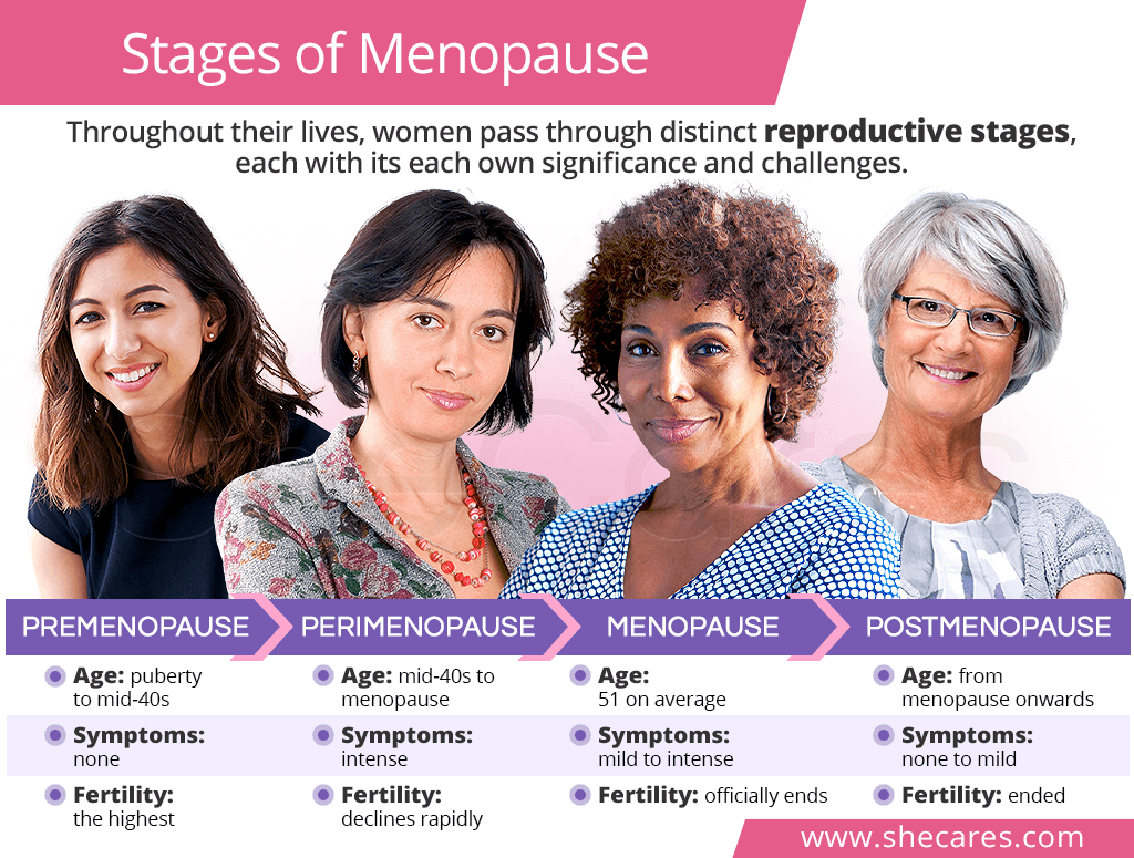 Stages of Menopause