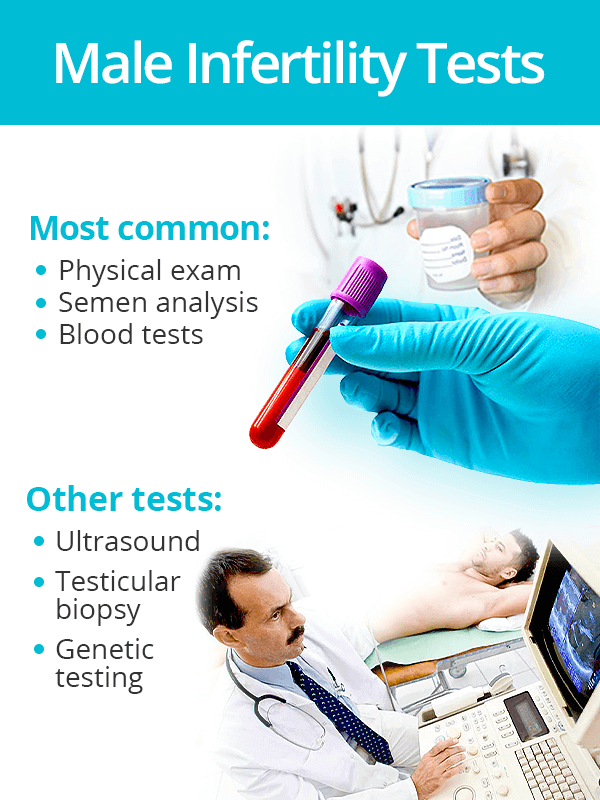 Male fertility tests