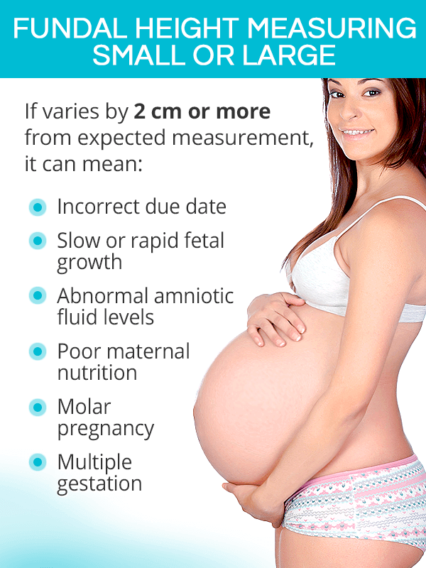 Fundal height measuring small or large