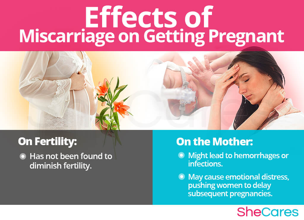 Getting Pregnant After Miscarriage Shecares