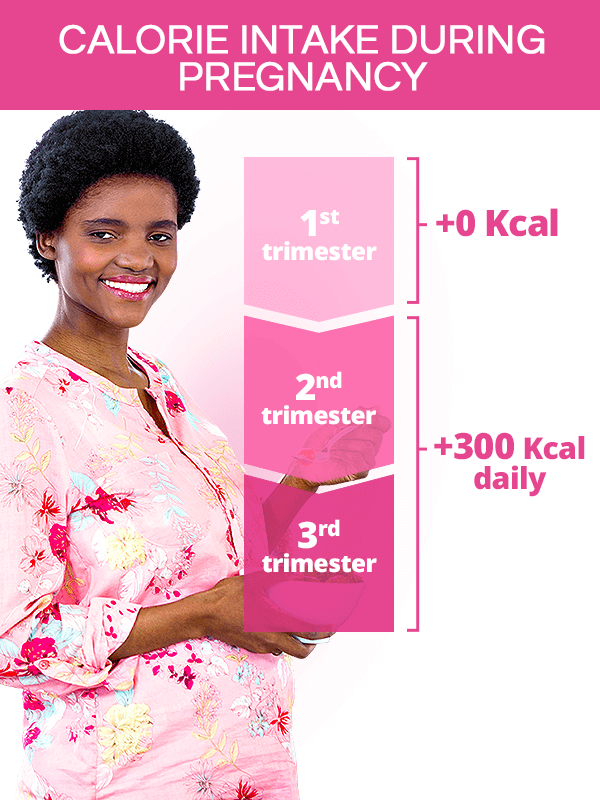 Calorie intake during pregnancy