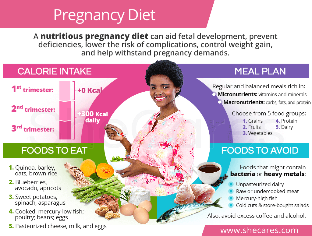 Pregnancy Diet SheCares