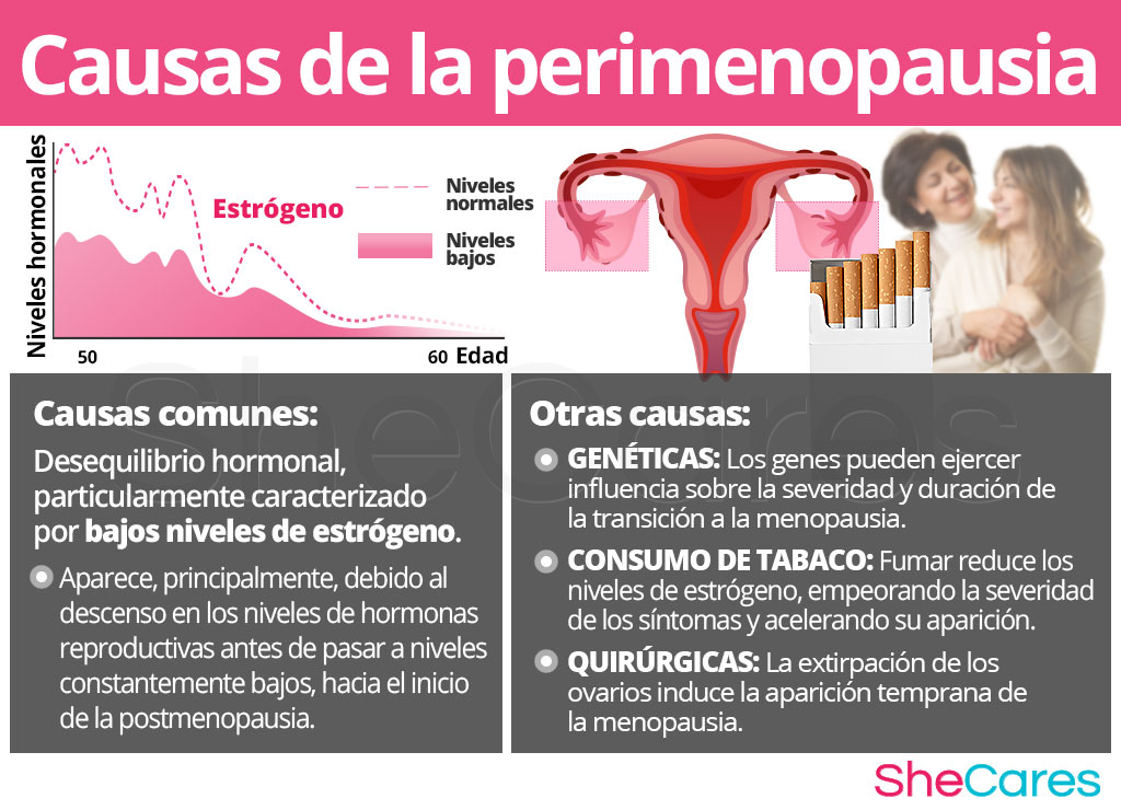 Causas de la perimenopausia