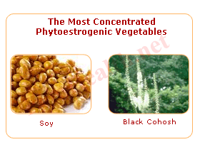 phytoestrogen concentrated vegetables