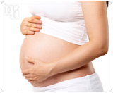 estrogen pregnancy