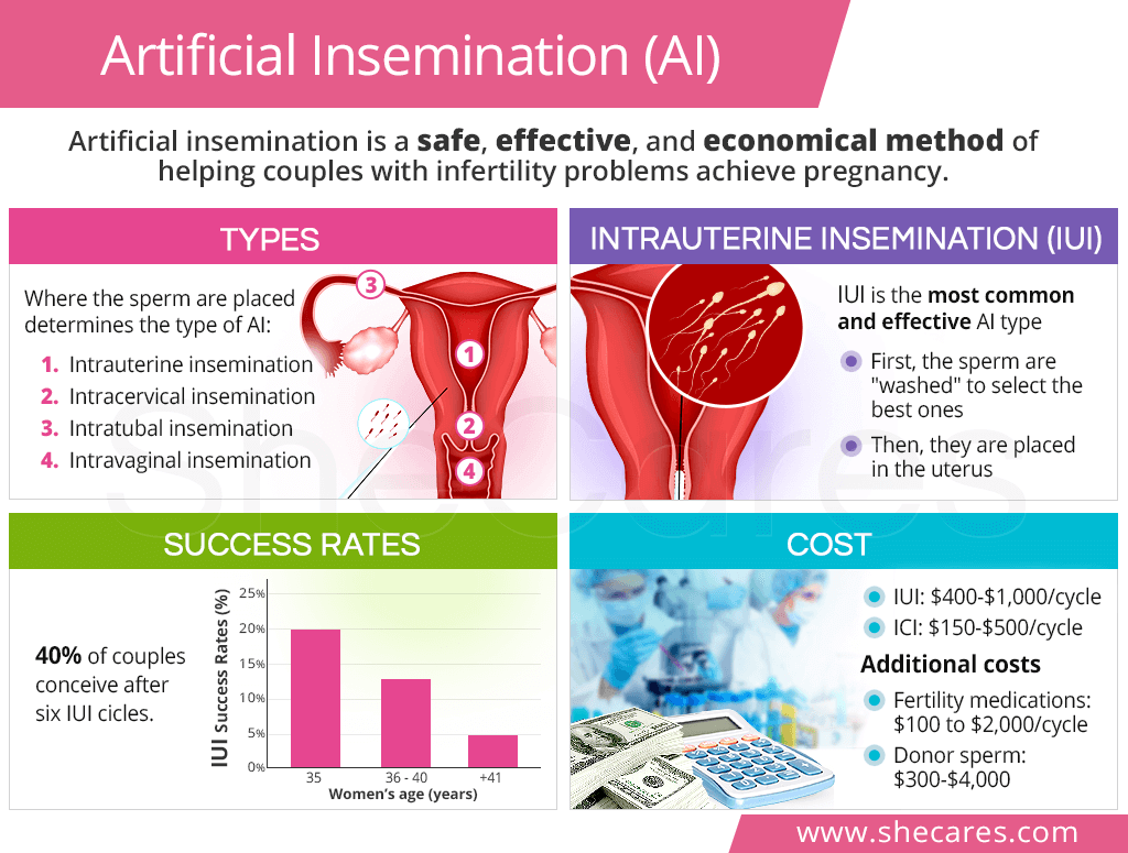 Artificial insemination (AI)