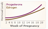 High Estrogen and How to Detect It