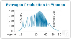 estrogen puberty