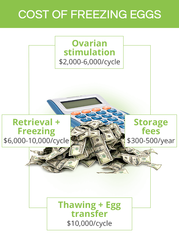 Egg freezing cost