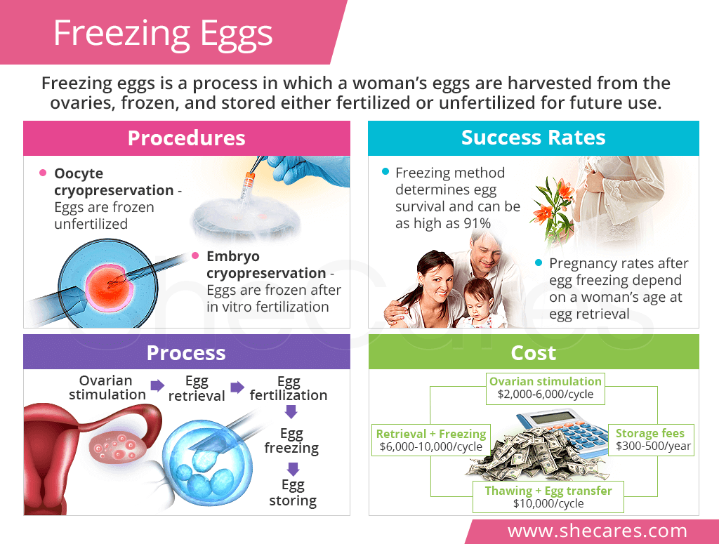 Freezing Eggs or Embryos