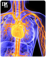 HRT could increase rates of heart diseases