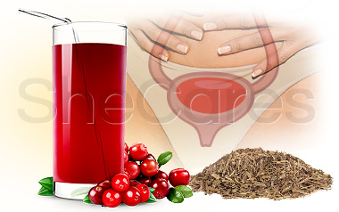 4 Remedies to Cure Incontinence and Overactive Bladder