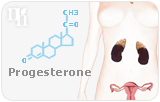 Progesterone: Frequently Asked Questions