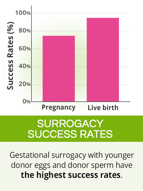 Surrogacy success rate