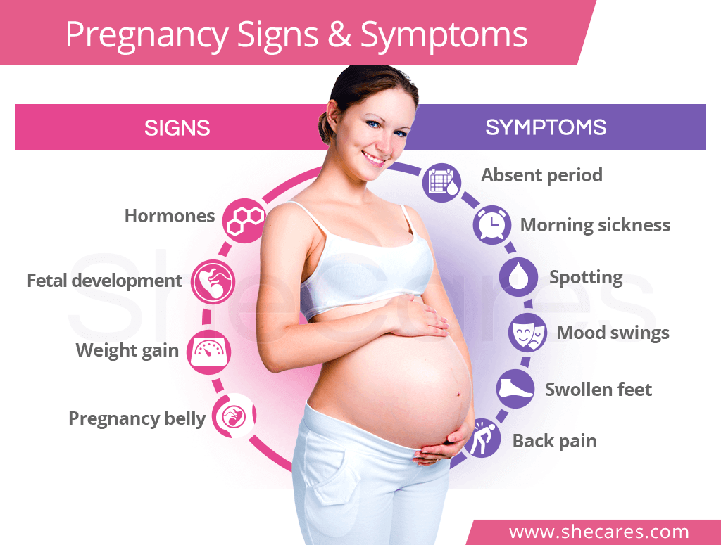 Pregnancy Signs and Symptoms | SheCares