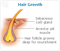 What causes postpartum hair loss  Prime Fertility Clinic