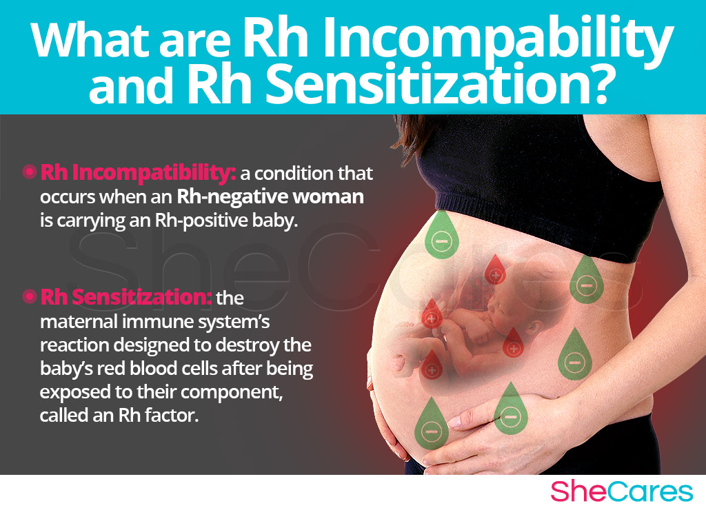 What are Rh Incompatibility and Rh Sensitization?