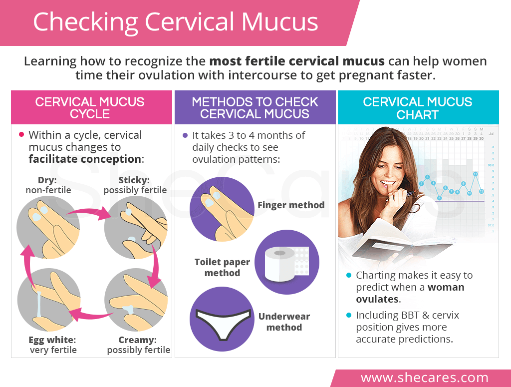 Checking Cervical Mucus | SheCares