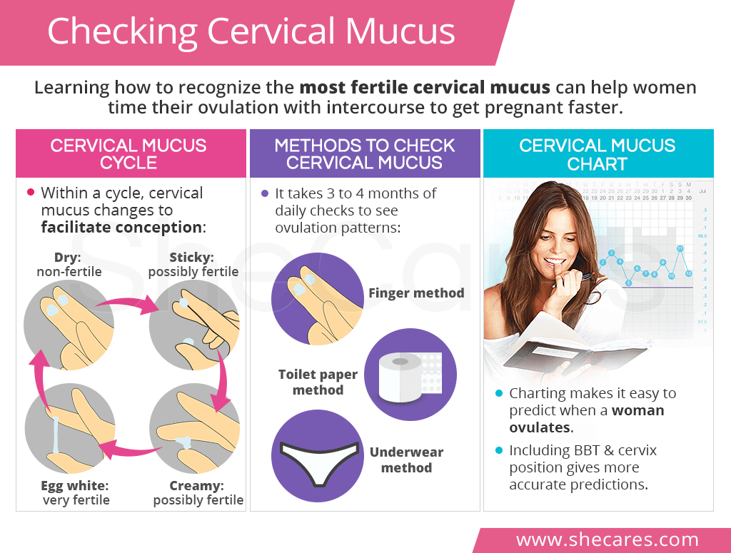 Checking Cervical Mucus