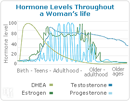 Hormone Levels Throughout a Woman's life
