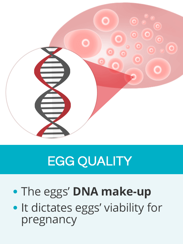 Egg quality