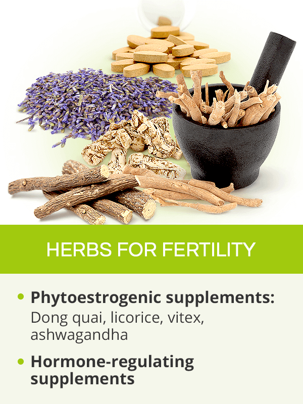 Herbs for fertility