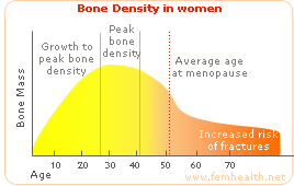 bone density in women postmenopause
