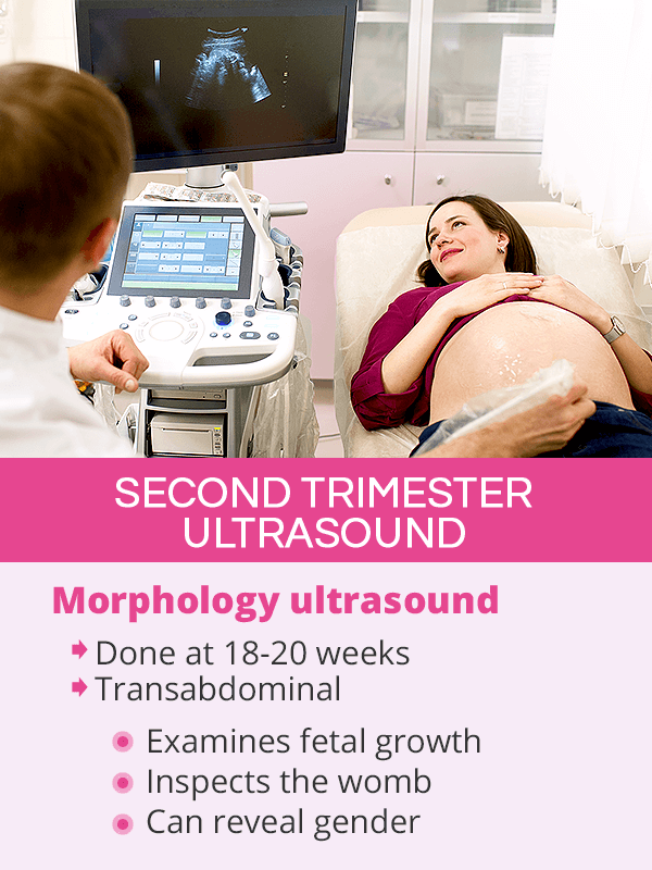 Second trimester ultrasound