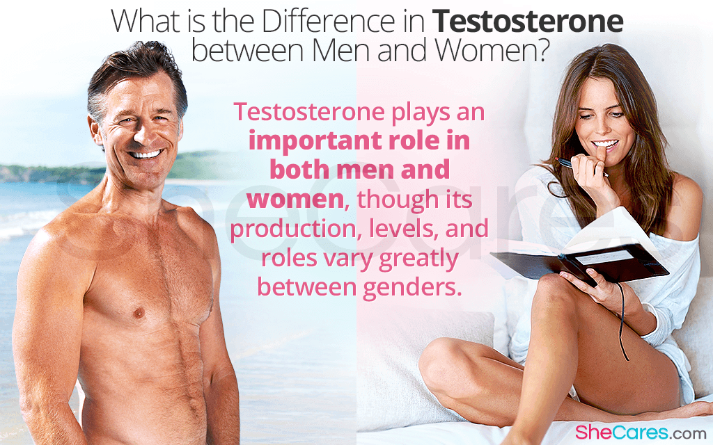 What Is the Difference in Testosterone Between Men and Women?