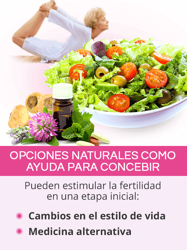 Opciones naturales como ayuda para concebir