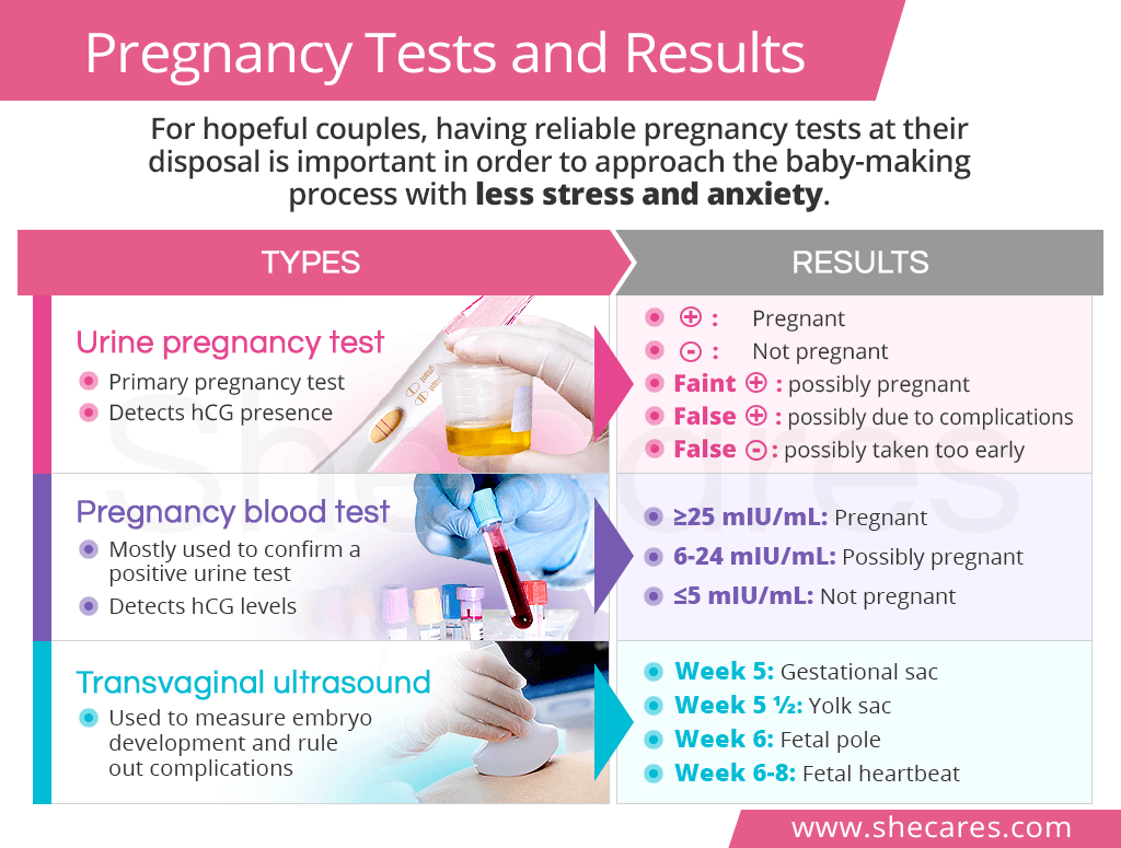 Pregnancy tests and results