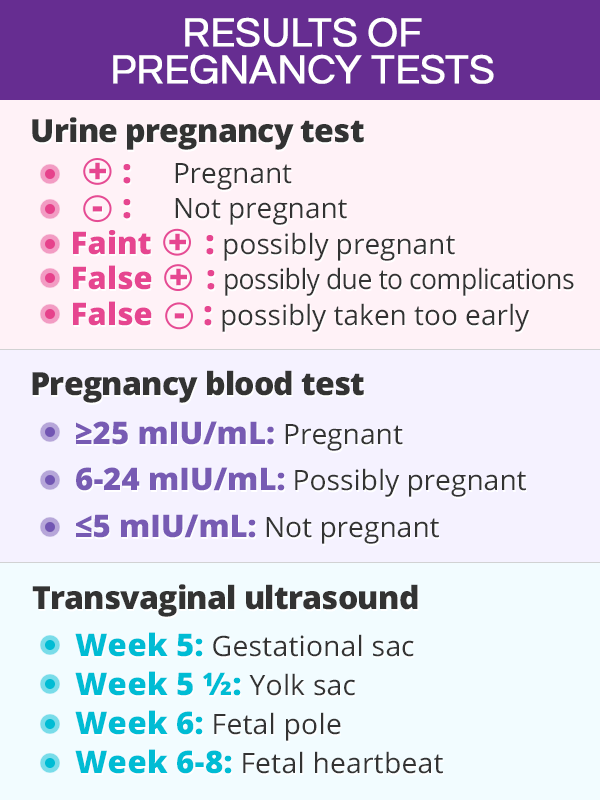 Pregnancy Tests And Results SheCares