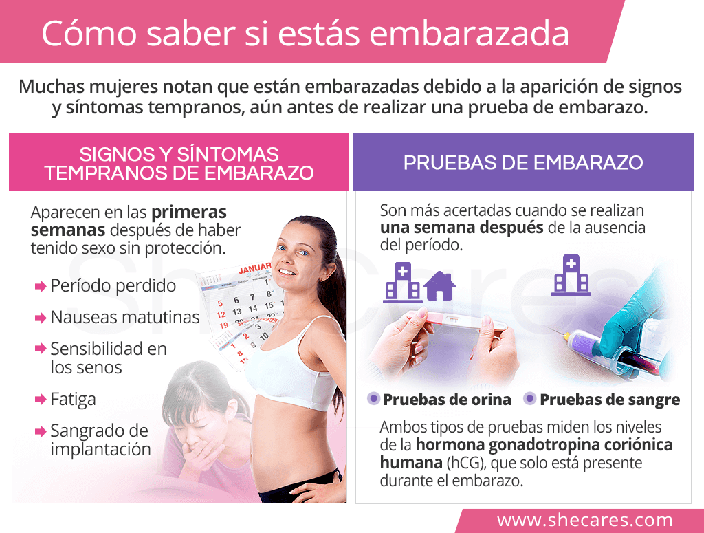 A que tiempo sales se detecta el embarazo