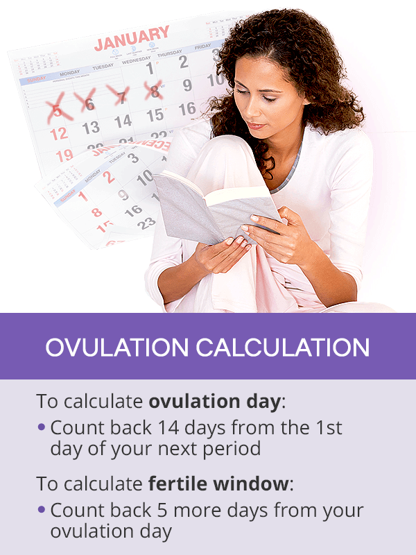 Ovulation calculation