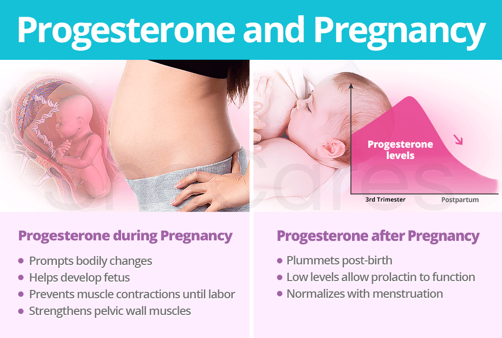 Progesterone and Pregnancy