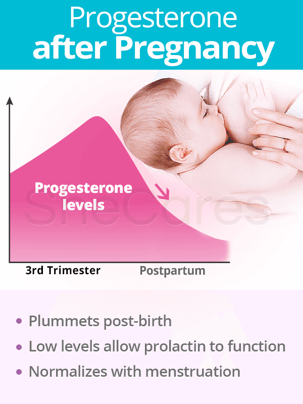 Progesterone after pregnancy