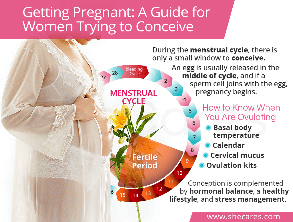 Getting Pregnant A Guide For Women Trying To Conceive Shecares 